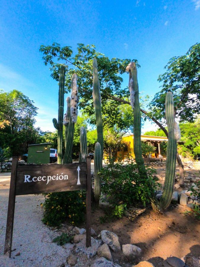 El Pedregal - Hotel En La Naturaleza Álamos Zewnętrze zdjęcie